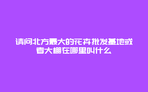 请问北方最大的花卉批发基地或者大棚在哪里叫什么