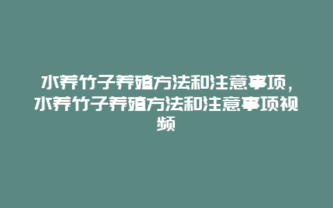 水养竹子养殖方法和注意事项，水养竹子养殖方法和注意事项视频