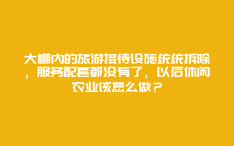 大棚内的旅游接待设施统统拆除，服务配套都没有了，以后休闲农业该怎么做？