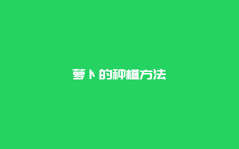 萝卜的种植方法