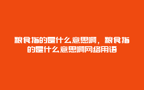 粮食指的是什么意思啊，粮食指的是什么意思啊网络用语