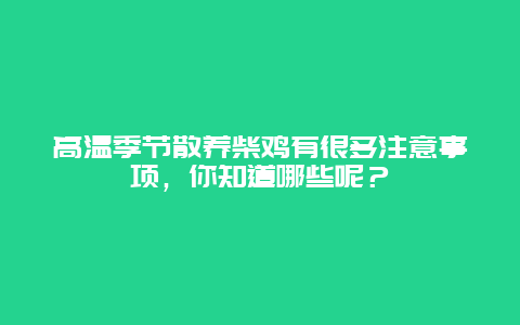 高温季节散养柴鸡有很多注意事项，你知道哪些呢？