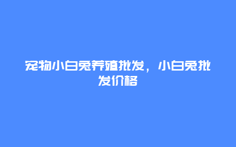 宠物小白兔养殖批发，小白兔批发价格