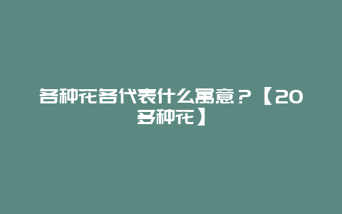 各种花各代表什么寓意？【20多种花】