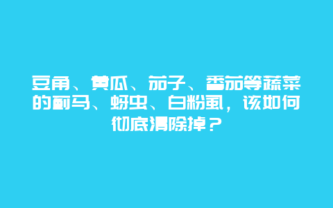 豆角、黄瓜、茄子、番茄等蔬菜的蓟马、蚜虫、白粉虱，该如何彻底清除掉？