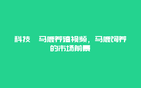 科技苑马鹿养殖视频，马鹿饲养的市场前景