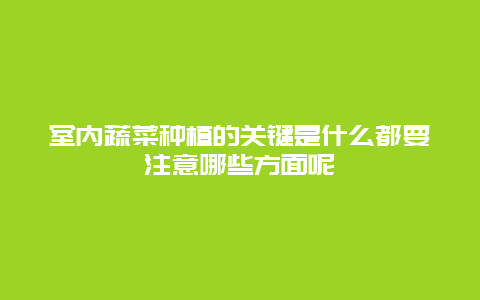 室内蔬菜种植的关键是什么都要注意哪些方面呢