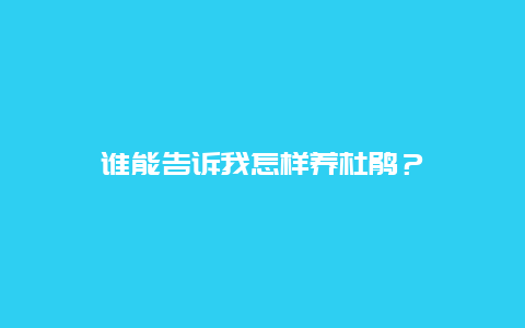 谁能告诉我怎样养杜鹃？