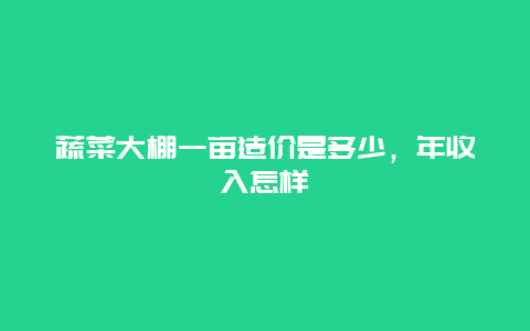 蔬菜大棚一亩造价是多少，年收入怎样