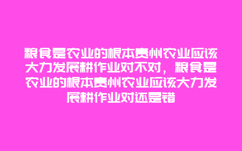 粮食是农业的根本贵州农业应该大力发展耕作业对不对，粮食是农业的根本贵州农业应该大力发展耕作业对还是错