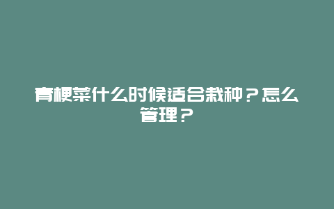 青梗菜什么时候适合栽种？怎么管理？