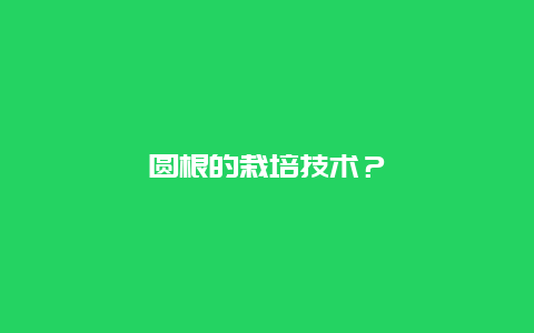 圆根的栽培技术？