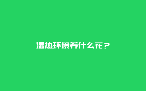 湿热环境养什么花？