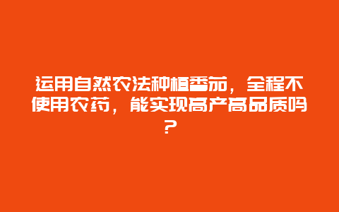 运用自然农法种植番茄，全程不使用农药，能实现高产高品质吗？