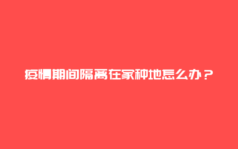 疫情期间隔离在家种地怎么办？