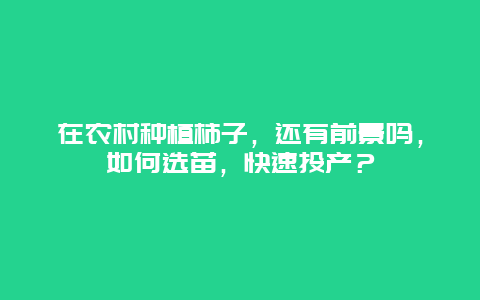 在农村种植柿子，还有前景吗，如何选苗，快速投产？