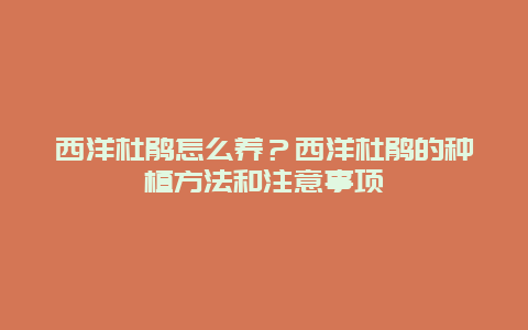 西洋杜鹃怎么养？西洋杜鹃的种植方法和注意事项