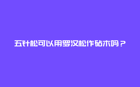 五针松可以用罗汉松作砧木吗？