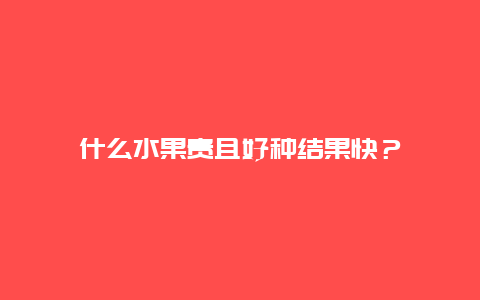 什么水果贵且好种结果快？