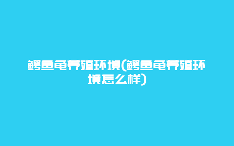 鳄鱼龟养殖环境(鳄鱼龟养殖环境怎么样)