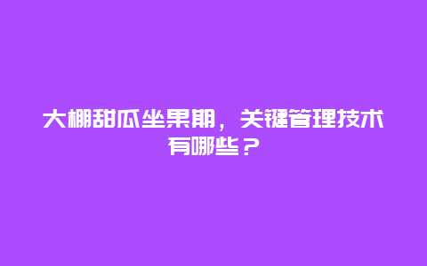 大棚甜瓜坐果期，关键管理技术有哪些？