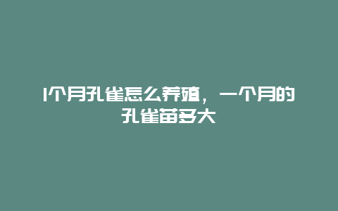 1个月孔雀怎么养殖，一个月的孔雀苗多大