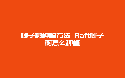 椰子树种植方法 Raft椰子树怎么种植