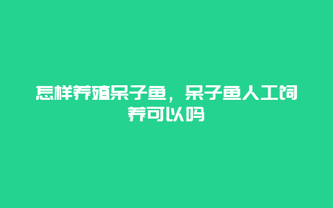 怎样养殖呆子鱼，呆子鱼人工饲养可以吗