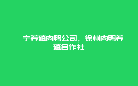 睢宁养殖肉鸭公司，徐州肉鸭养殖合作社