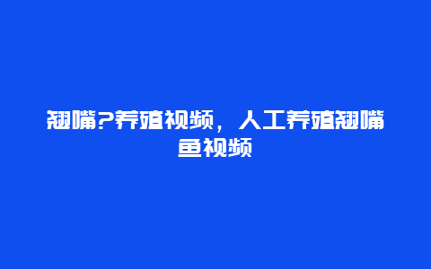 翘嘴?养殖视频，人工养殖翘嘴鱼视频