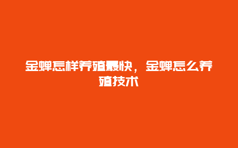 金蝉怎样养殖最快，金蝉怎么养殖技术