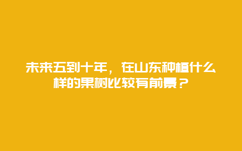 未来五到十年，在山东种植什么样的果树比较有前景？