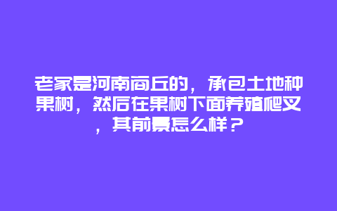 老家是河南商丘的，承包土地种果树，然后在果树下面养殖爬叉，其前景怎么样？