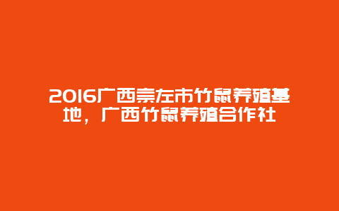 2016广西崇左市竹鼠养殖基地，广西竹鼠养殖合作社