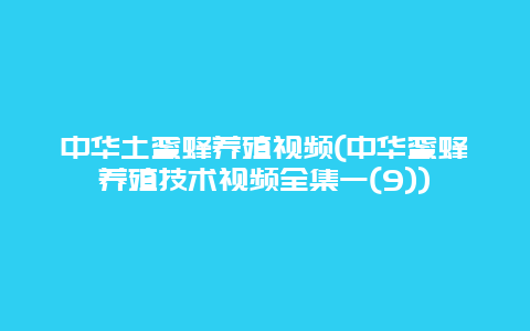 中华土蜜蜂养殖视频(中华蜜蜂养殖技术视频全集一(9))