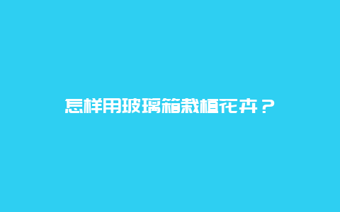 怎样用玻璃箱栽植花卉？