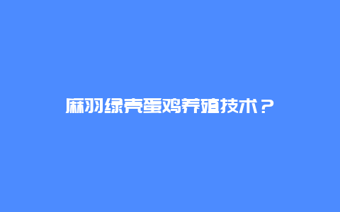 麻羽绿壳蛋鸡养殖技术？