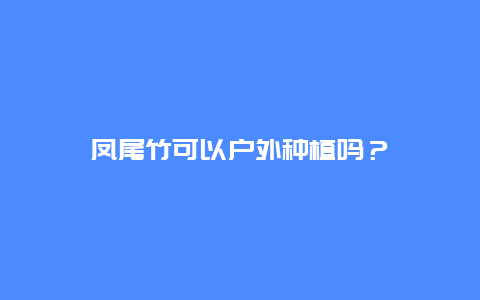 凤尾竹可以户外种植吗？