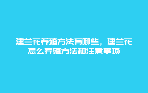 建兰花养殖方法有哪些，建兰花怎么养殖方法和注意事项