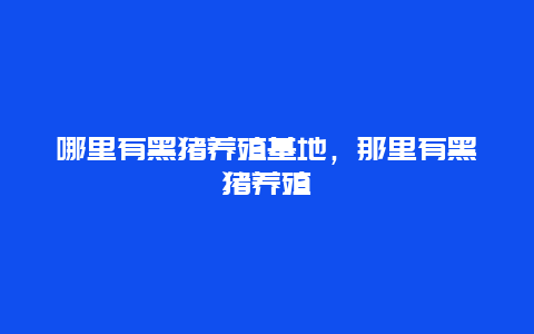 哪里有黑猪养殖基地，那里有黑猪养殖