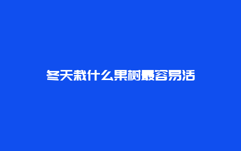 冬天栽什么果树最容易活