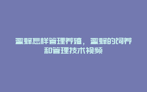 蜜蜂怎样管理养殖，蜜蜂的饲养和管理技术视频