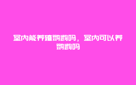 室内能养殖鹦鹉吗，室内可以养鹦鹉吗