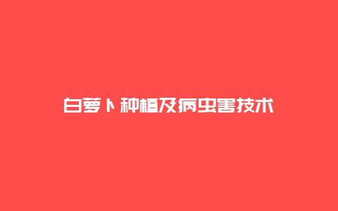 白萝卜种植及病虫害技术