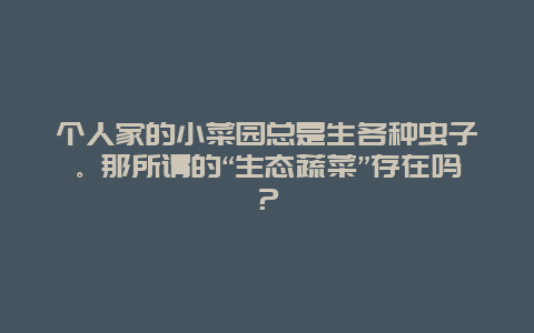 个人家的小菜园总是生各种虫子。那所谓的“生态蔬菜”存在吗？