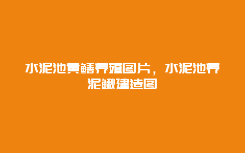 水泥池黄鳝养殖图片，水泥池养泥鳅建造图