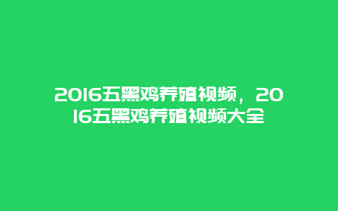 2016五黑鸡养殖视频，2016五黑鸡养殖视频大全