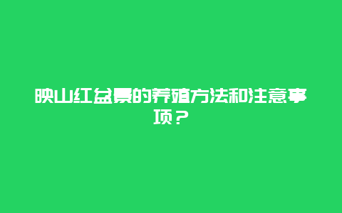 映山红盆景的养殖方法和注意事项？