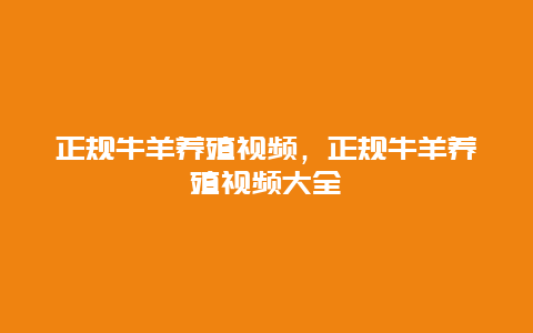 正规牛羊养殖视频，正规牛羊养殖视频大全