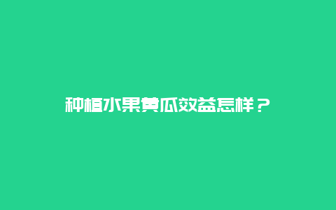 种植水果黄瓜效益怎样？